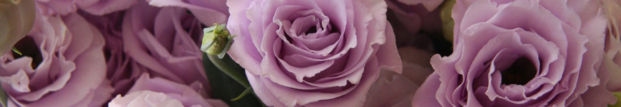 Significado flor lisianto